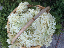 Load image into Gallery viewer, Tinui Food Forest Four Seasons Gift Card