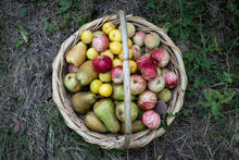 Load image into Gallery viewer, Tinui Food Forest Four Seasons Gift Card