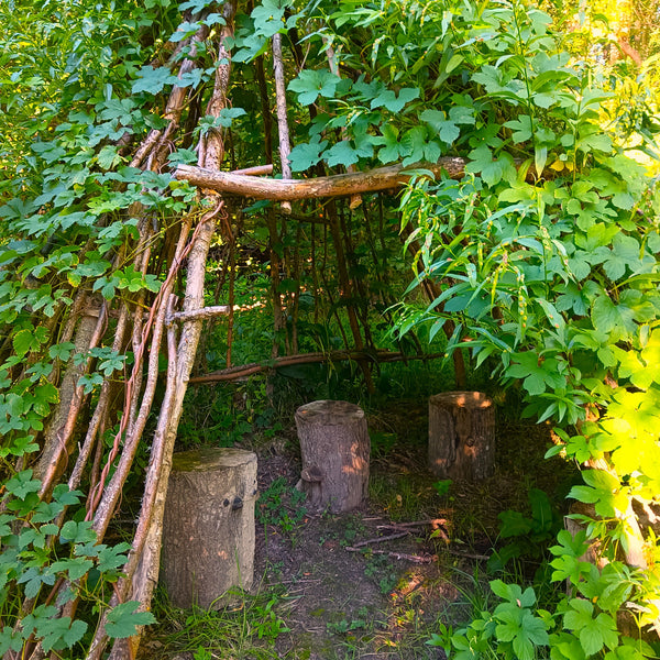 If a Food Forest doesn't have a teepee is it a Food Forest?