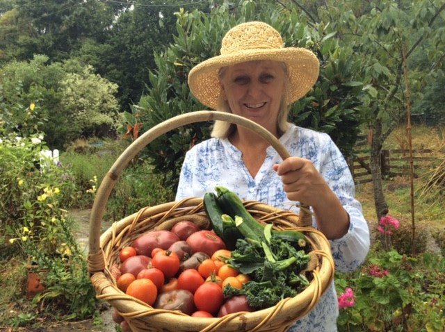 How to Start a Food Forest August 2025