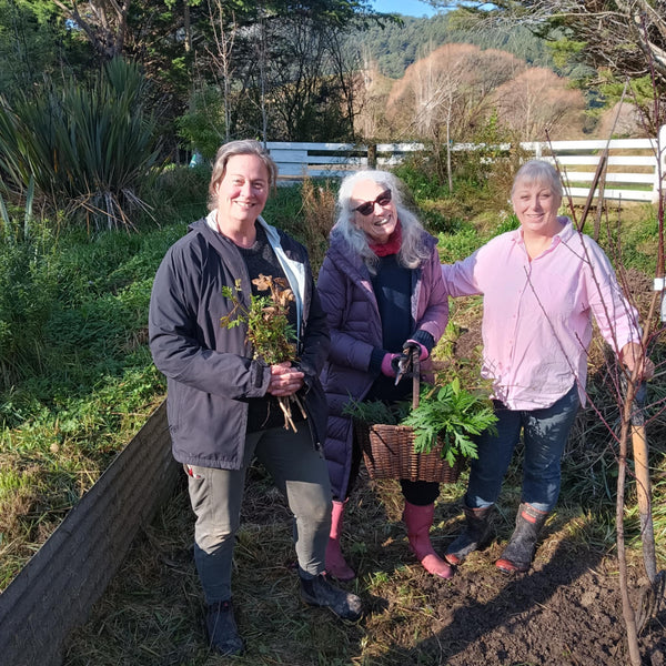How to Start A Food Forest Workshop June 2025 Went Really Well!