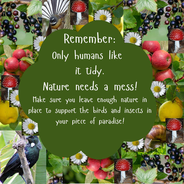 Only humans like it tidy