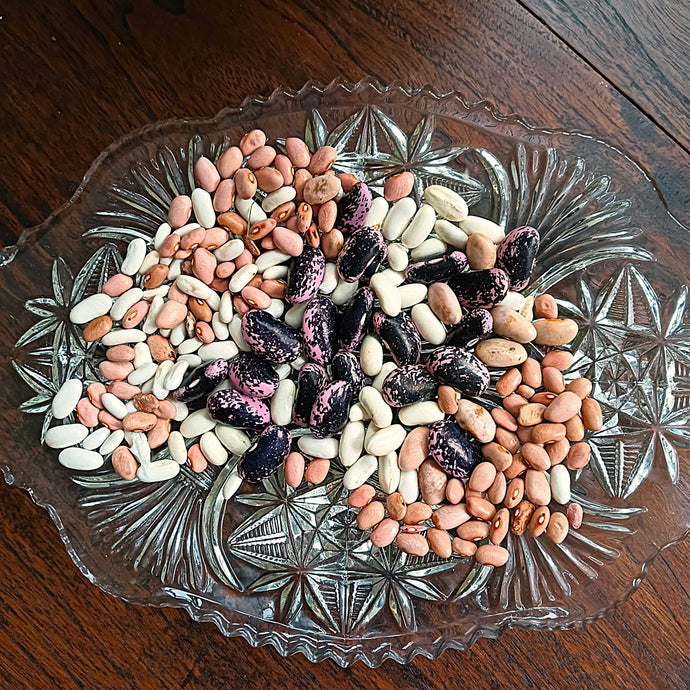 Counting Beans!