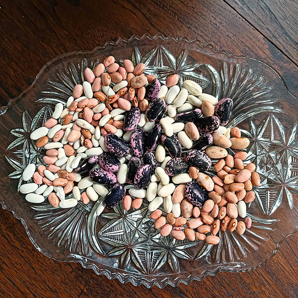 Counting Beans!