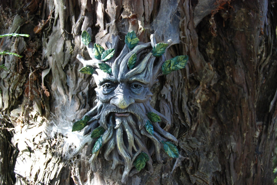 Winter Solstice 2025!