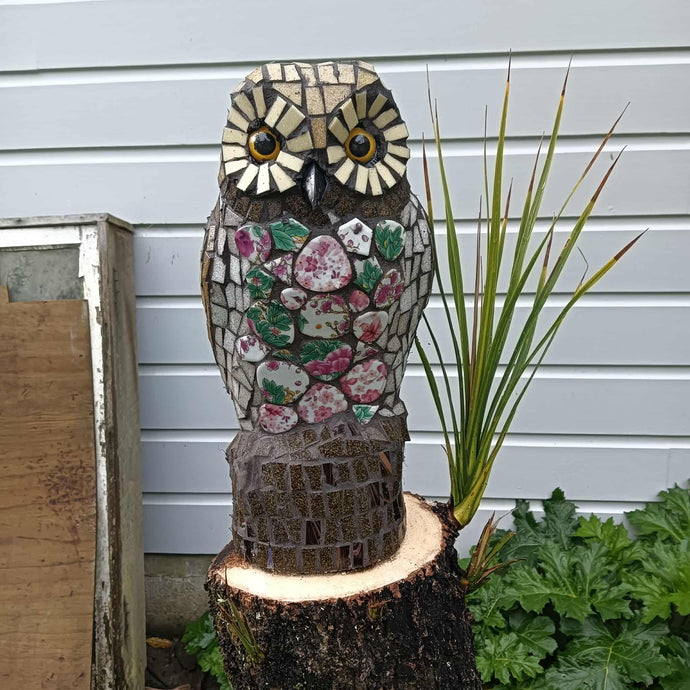 More owl business going down in Tinui Food Forest!