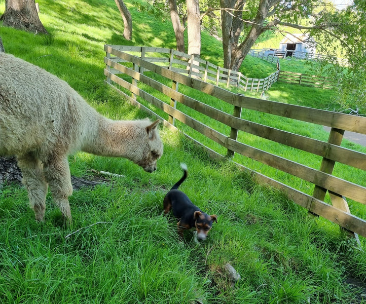 That was a fun weekend!