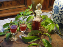 Load image into Gallery viewer, Elderberry Syrup

