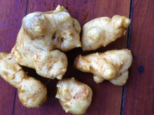 Load image into Gallery viewer, Jerusalem Artichoke- 6 tubers
